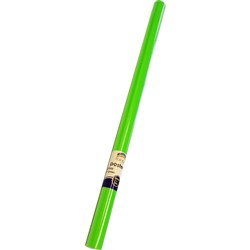 RAINBOW GLOSS POSTER ROLL GLOSS LIGHT GREEN