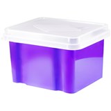 ITALPLAST STORAGE FILE BOX GRAPE BASE CLEAR LID 32L