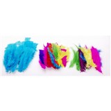 JASART FEATHERS LARGE ASSORTED COLOURS 30GM