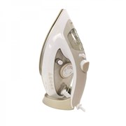 Iron