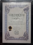 A4 BLACK DOCUMENT CERTIFICATE FRAME