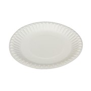 Disposable Plates  Cutlery