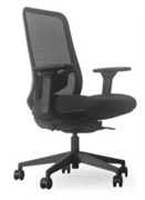 PARKER MESH BACK CHAIR WITH ARMS AND BUILT IN LUMBAR SUPPORT